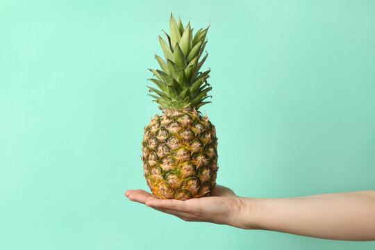 Female hand hold ripe pineapple on mint background