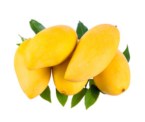 Yellow mango   isolated on a white background