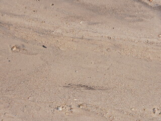 Sand at the bottom of a river, after the river runs dry