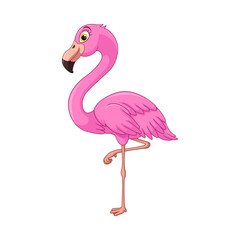 Cartoon flamingo on white background