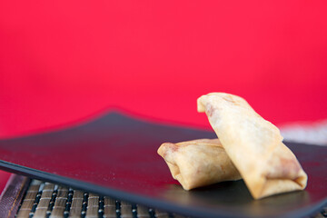 Fried spring rolls on the plate at the beginning of spring