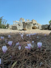 Świątynia Afai, Egina, Grecja