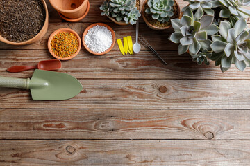 Close up Agricultural equipment on wood table.