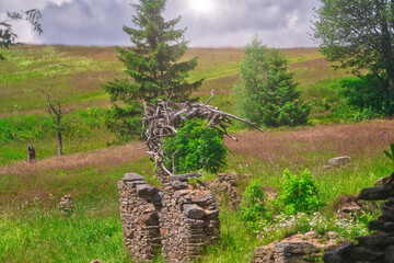 K&ouml;nigsm&uuml;hle