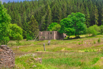 K&ouml;nigsm&uuml;hle