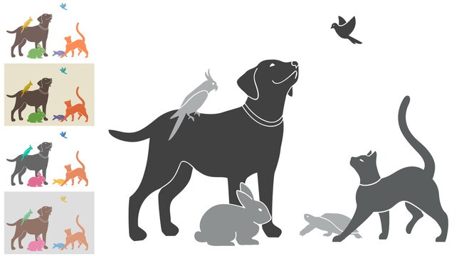 Vector Illustration With A Group Of Pets For Your Design. Black And White And Four Color Options. All Animals Are Drawn Separately - You Can Move, Delete Some Of Them. 