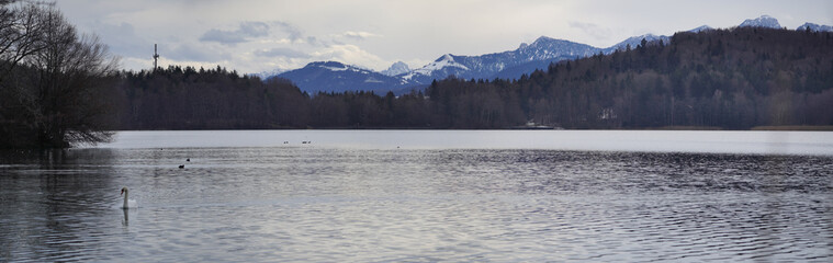 Fototapeta premium Am Seehamer See