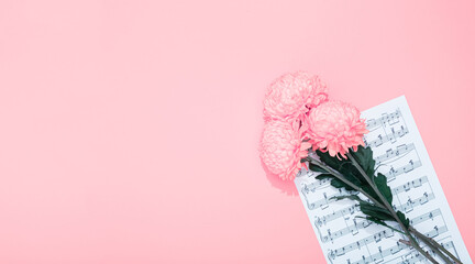 Bouquet of three lush chrysanthemums lays on a sheet with musical notes on a pink background. The holiday theme of music lovers. Happy Valentine Day February 14. Woman Day March 8. Mother Day May 8