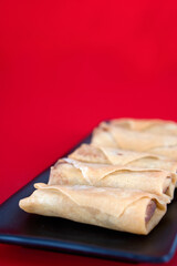 Fried spring rolls at the beginning of spring on a red background
