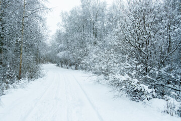 Beautiful atmospheric winter road and snow covered trees in the forest. Winter nature background.