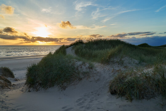 footpath in the sand on a dune at the north sea coast in Vejers Strand (Denmark) in front of scenic sunset