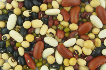 Beans assortment close up.