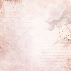 Old paper background with rose. Romantic vintage letter concept.