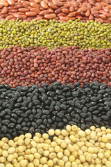 Different beans as background. Legume assortment.