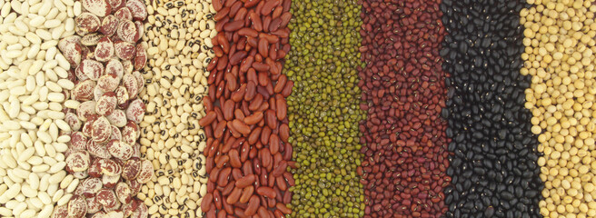 Different beans as background. Legume assortment.