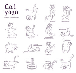 Vector black and white illustration of cat yoga characters. Contour set of cats in asanas. For printing on clothing or products, for coloring.