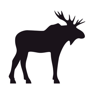 Moose silhouette, icon. Vector image on a white background.