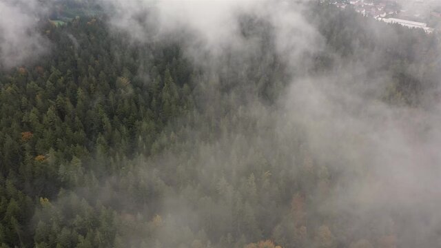 Flug Filmmaterial einer Luftaufnahme mit einer Drohne im bayerischen Wald schwebend &uuml;ber Baumkronen Wald mit vorbeiziehendem Nebel Nebelschwaden bei Grafenau, Deutschland