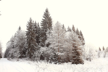 winter forest landscape covered with snow, december christmas nature white background