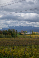 Obraz premium view of the alps from a land field