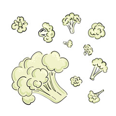 Cauliflower drawn cartoon in sketch style on black background. Hand drawn vector illustration. Cooking food. Isolated vector. Line art. White background, isolated.