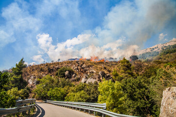 Forest fire with smoke development due to severe drought and lack of rain on a Greek island
