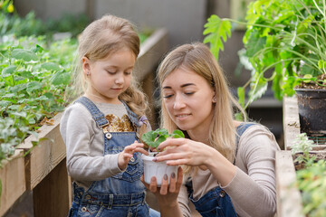 A young woman with a small daughter is planting a plant in a pot.