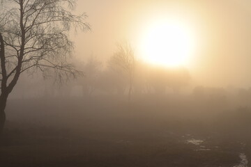 foggy days 2