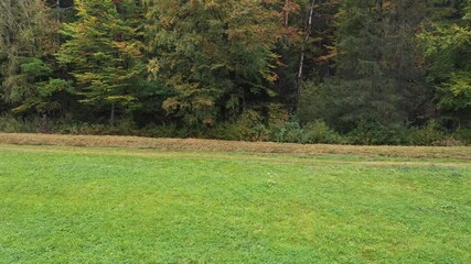 Langsames aufsteigen Filmmaterial einer Luftaufnahme mit einer Drohne im bayerischen Wald über Baumkronen Wald mit vorbeiziehendem Nebel Nebelschwaden bei Grafenau, Deutschland
 - Powered by Adobe