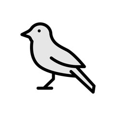 sparrow