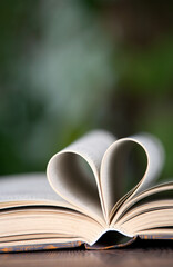 The heart shape of the opened page of the previous book on the green background