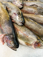 Fresh fish on the market. Overhead view of seafood in the ice