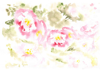 Obraz na płótnie Canvas elegant peony roses free watercolor by hand with colored stains from a spot, gentle unobtrusive background, many abstract elements for design and decoration