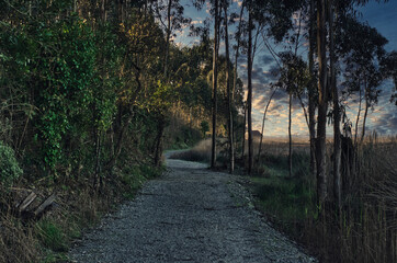 Passadiços de Esgueira