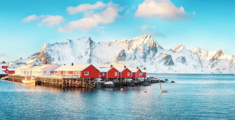 Poster Reinefjorden Maisons traditionnelles norvégiennes en bois rouge (rorbuer) sur la rive du Reinefjorden près du village de Hamnoy.
