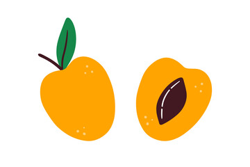 Apricot fruit whole and cut in half vector icons, illustration.
