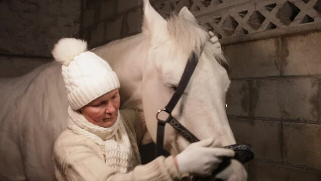 A woman puts a halter on a horse. An elderly woman puts a bridle on a white horse in a stall. Stone stables.