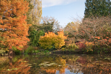 English park in autumn