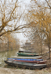 Boats on the river. Vibrant Autumn colors. Creative composition in nature.