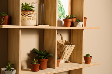 Fototapeta na wymiar Wooden shelves with different decorative elements on beige wall,