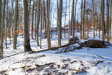 Landscape image of Medvednica mountain during the winter, Croatia.