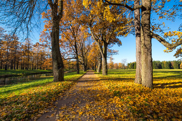 View of city park in autumn