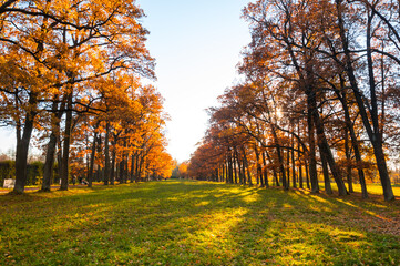 View of city park in autumn