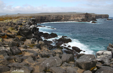 Fototapeta na wymiar View of the coast at the Galapagos Islands 