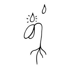 Water drops drip onto the plant sprout. Doodles on a white background. Hand drawing. Vector.