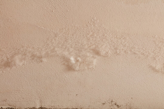 Saltpetre on the wall - white mold