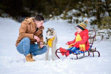 Fototapeta na wymiar Winter games dad and daughter with pet, husky and his owners in the winter forest.