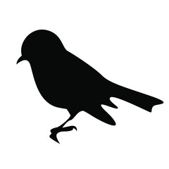 black vector isolated silhouettes of small birds on a white background