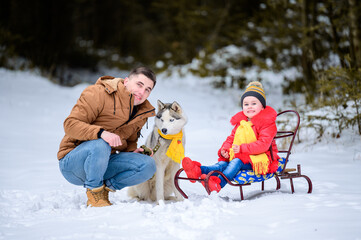 Fototapeta na wymiar Husky in the woods with the owner and his daughter, a sleigh ride through the woods, fun husky games.