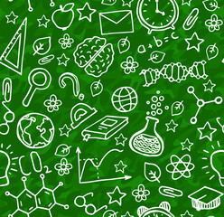 Vector seamless pattern with hand drawn school symbols. Physics, chemistry, biology, geography, mathematics. Science elements are drawn with a line. Background for children and students